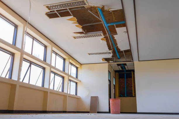 Best Professional water damage repair  in Mason, MI