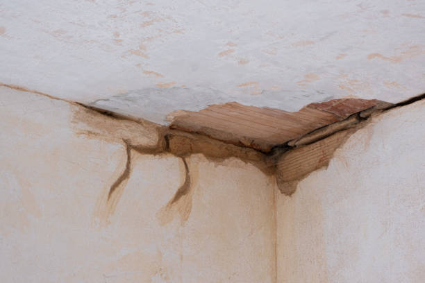 Best Water damage restoration specialists  in Mason, MI