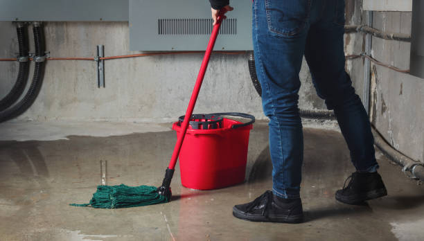 Best Emergency water damage restoration  in Mason, MI