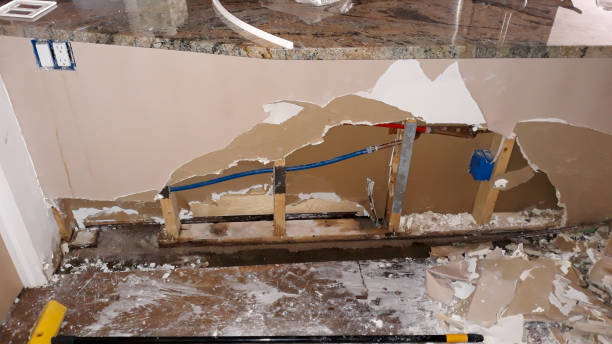 Best Water damage restoration near me  in Mason, MI