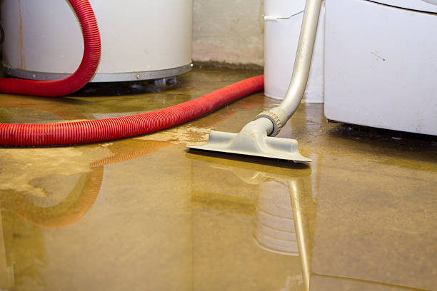 Professional Water damage restoration in MI